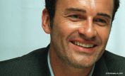 Julian McMahon