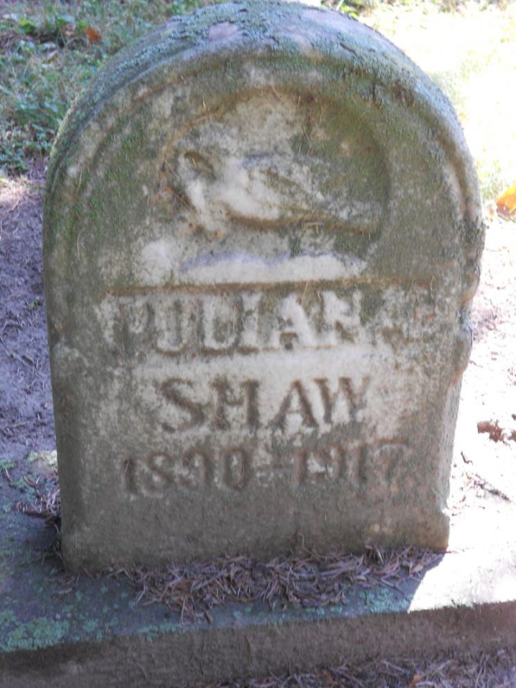 Julian Shaw