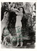 Julie Adams photo