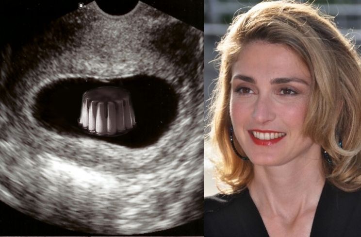 Julie Gayet