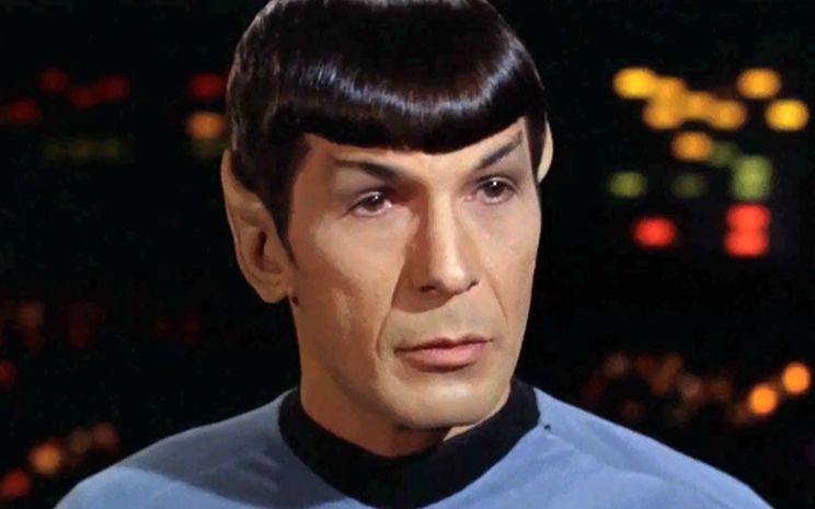 Julie Nimoy