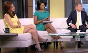 Julie Roginsky