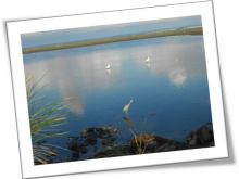 Julie Stichbury photo