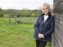 Julie Walters