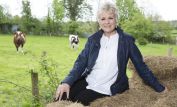 Julie Walters