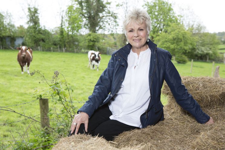 Julie Walters