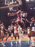 Julius Erving