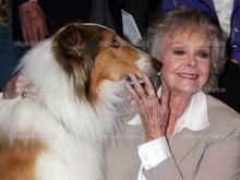 June Lockhart photo