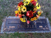 Junior Samples