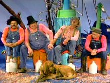 Junior Samples