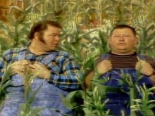 Junior Samples