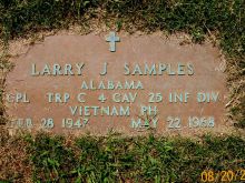 Junior Samples