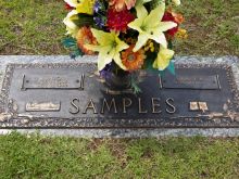 Junior Samples