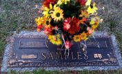 Junior Samples