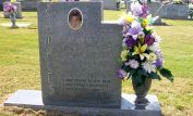 Junior Samples