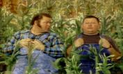 Junior Samples