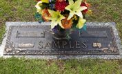 Junior Samples