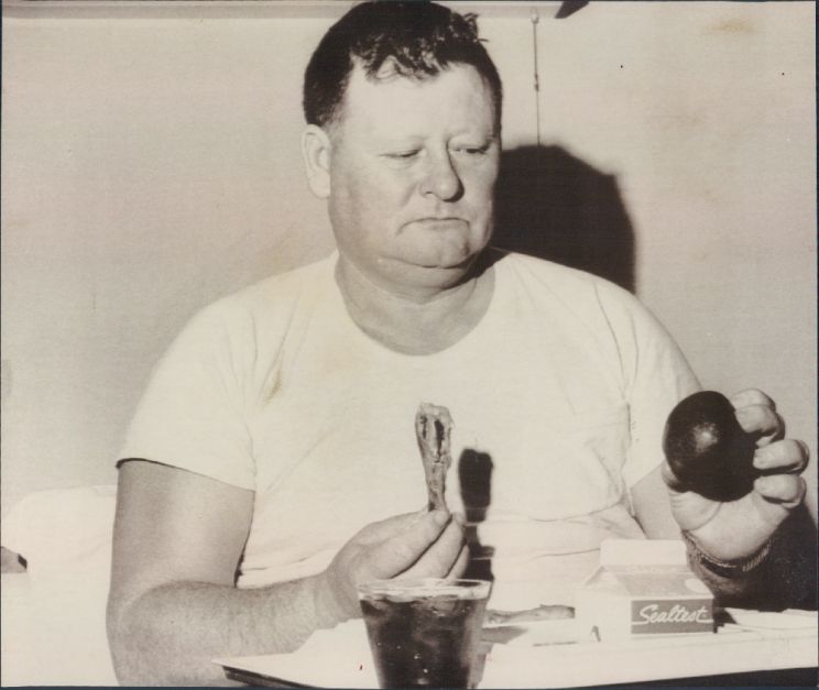 Junior Samples