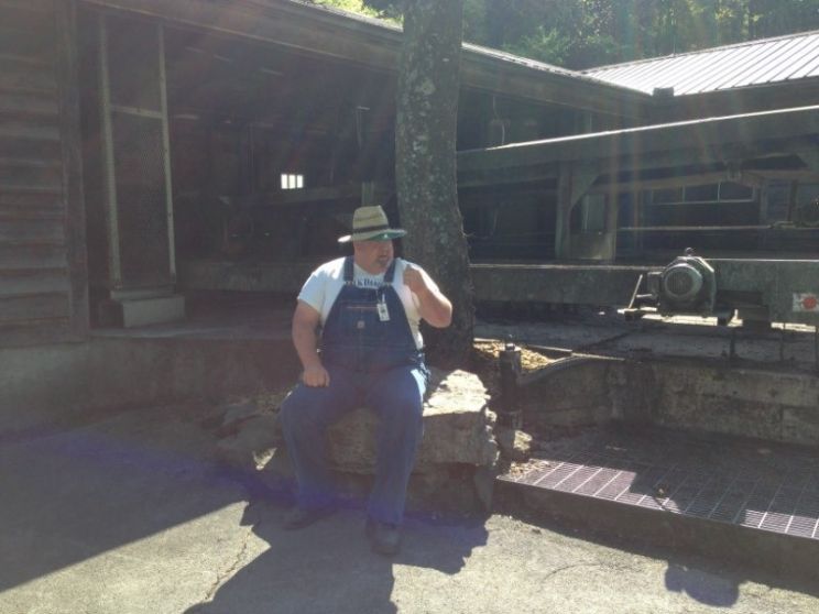 Junior Samples