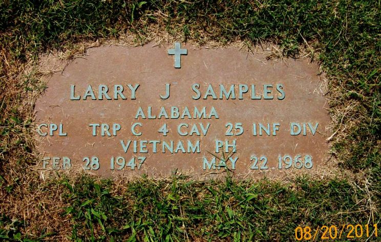 Junior Samples