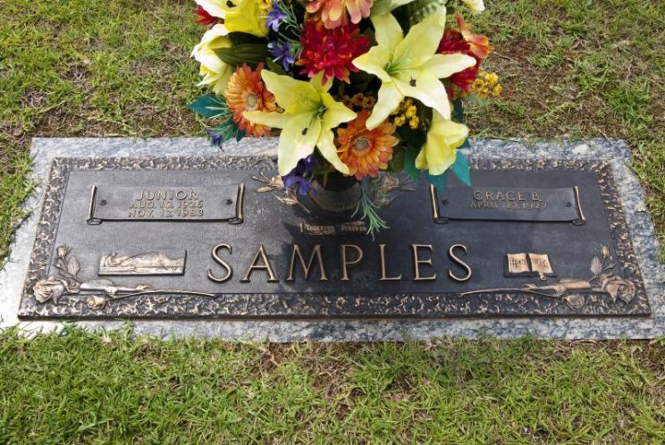 Junior Samples