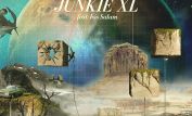 Junkie XL