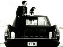 k.d. lang