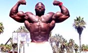 Kali Muscle