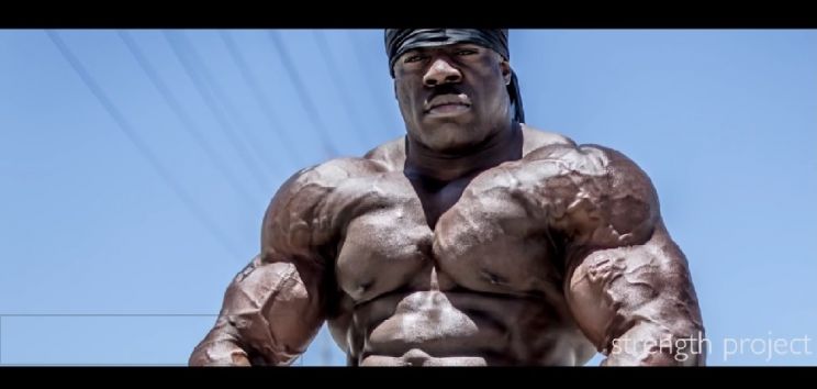 Kali Muscle