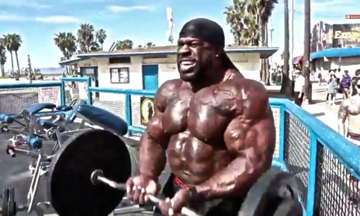 Kali Muscle