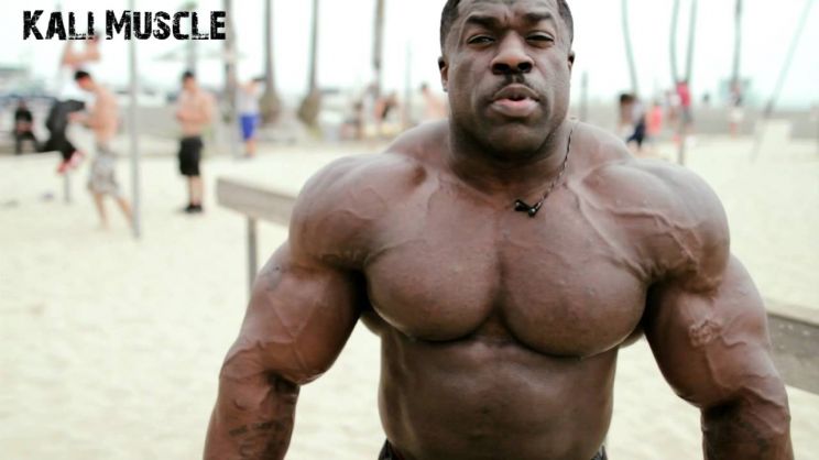Kali Muscle