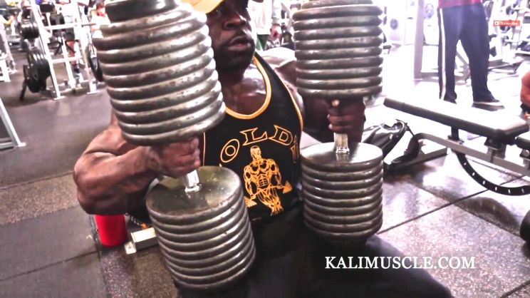 Kali Muscle