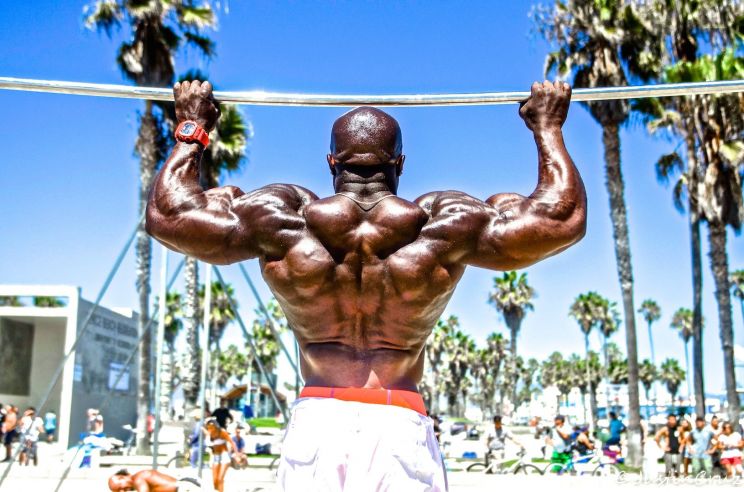 Kali Muscle