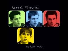 Kara Flowers