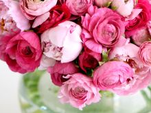 Kara Flowers