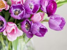 Kara Flowers
