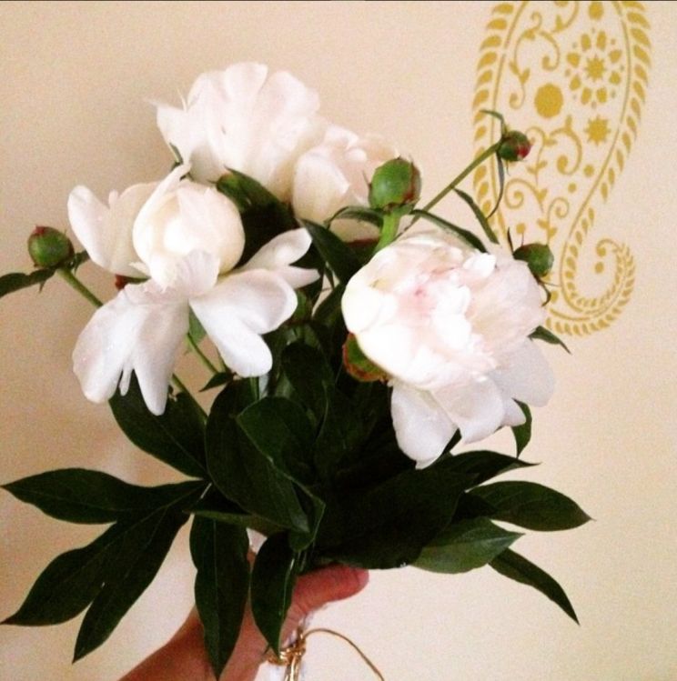 Kara Flowers