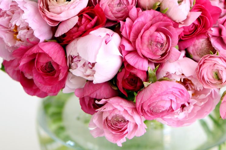 Kara Flowers