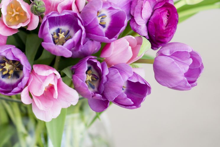 Kara Flowers