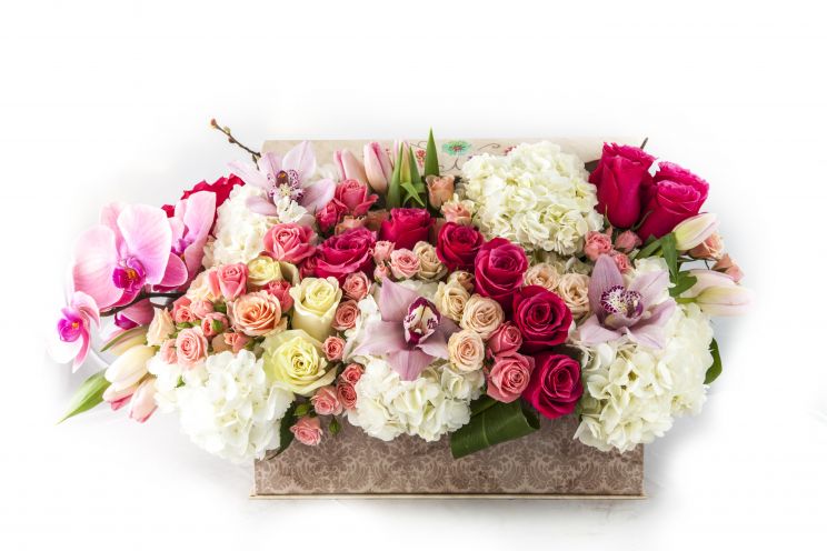 Kara Flowers