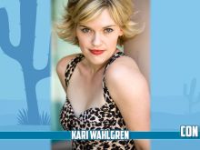 Kari Wahlgren