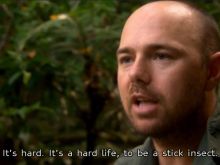 Karl Pilkington