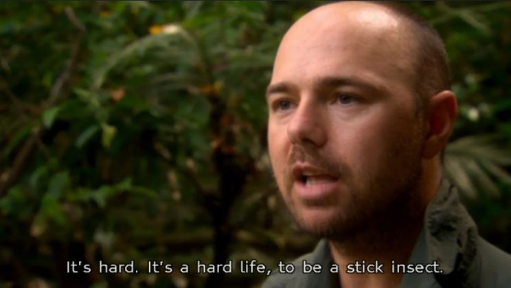 Karl Pilkington