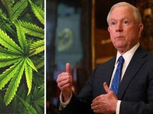 Karma McCain