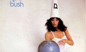 Kate Bush