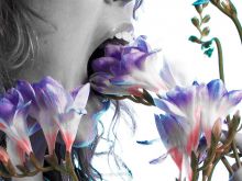 Kate Copeland