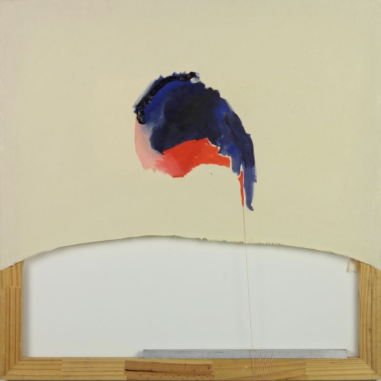 Kate Sheldon