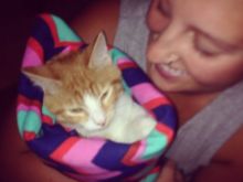 Katelyn Causey
