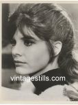 Katharine Ross