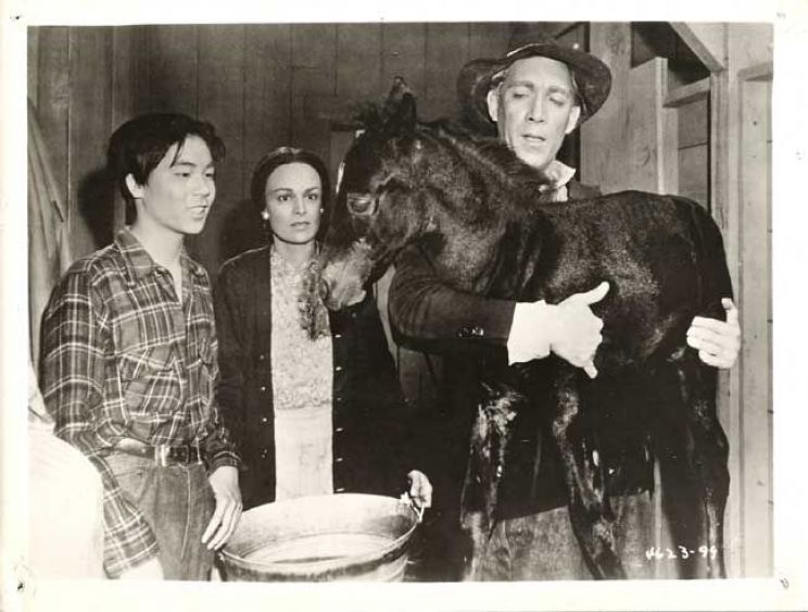 Katherine DeMille